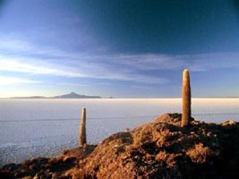 Sdamerika, Chile: Contactos Con Chile - Kakteen nahe am Meer